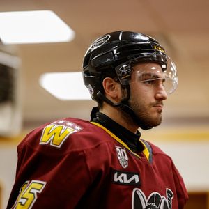 Image post by @chicagowolves on Instagram