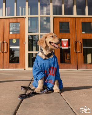 Image post by @gaylordcollege on Instagram