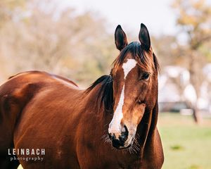 Image post by @leinbachphotography on Instagram