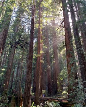 Image post by @nationalparkservice on Instagram