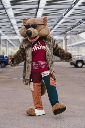 Image post by @ArizonaCoyotes on Twitter