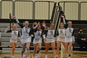 Image post by @laubhan.visuals on Instagram