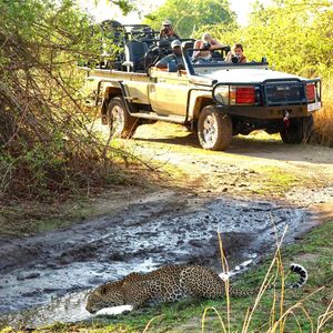 Image post by @chiawasafaris on Instagram