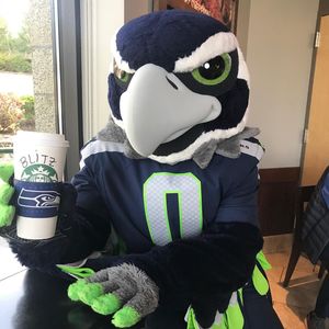 Image post by @blitztheseahawk on Instagram