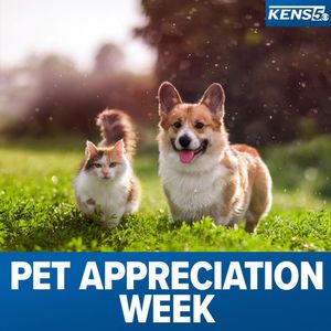 Image post by @kens5 on Instagram