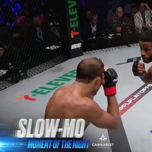 Image post by @pflmma on Instagram