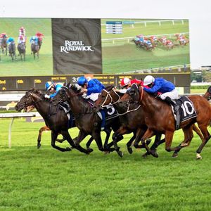 Image post by @australianturfclub on Instagram