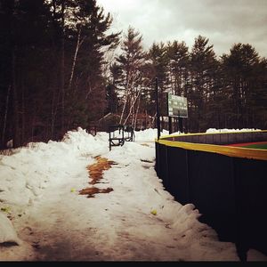 Image post by @dartmouthsoftball on Instagram
