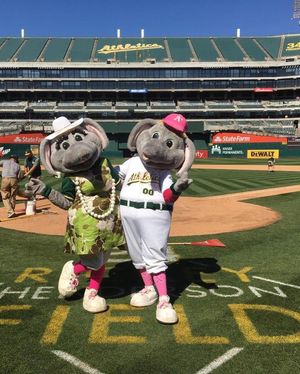 Image post by @stomper00 on Instagram