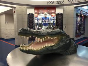 Image post by @floridagators on Instagram