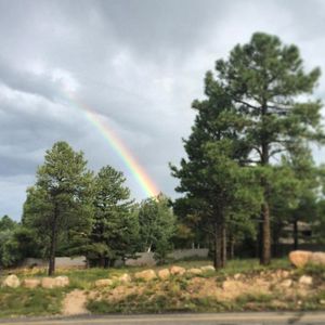 Image post by @nauflagstaff on Instagram