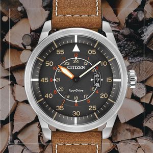 Image post by @citizenwatchus on Instagram
