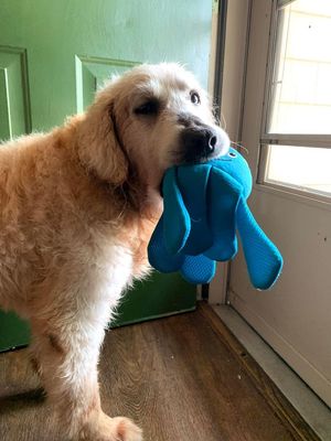 Image post by @LiveLikeRoo on Facebook