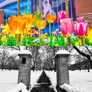 Image post by @universityofutah on Instagram