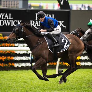Image post by @australianturfclub on Instagram