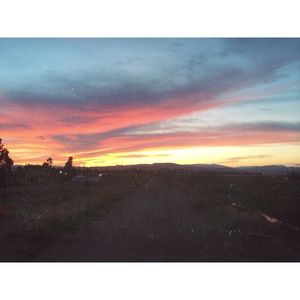 Image post by @grieves on Instagram