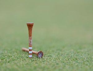 Image post by @evolvegolf on Instagram