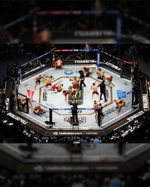 Image post by @ufc on Instagram