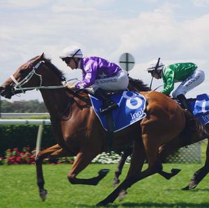 Image post by @australianturfclub on Instagram