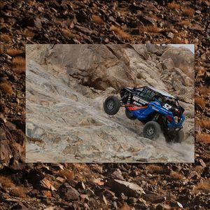Image post by @nosenergydrink on Instagram