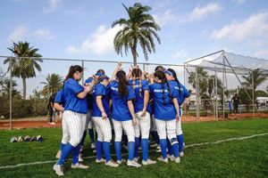 Image post by @hofstrasoftball on Instagram