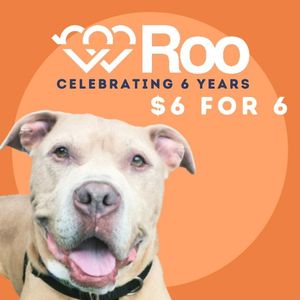 Image post by @LiveLikeRoo on Facebook