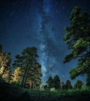 Image post by @nauflagstaff on Instagram