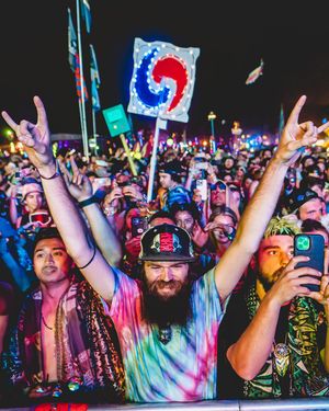 Image post by @electric_forest on Instagram