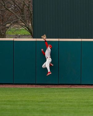 Image post by @isuredbirdbaseball on Instagram