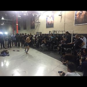 Image post by @thenotoriousmma on Instagram