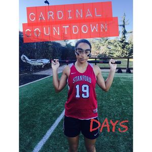 Image post by @stanfordwlax on Instagram