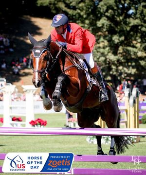 Image post by @usequestrian on Instagram