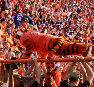 Image post by @cutigervision on Instagram