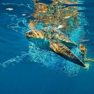 Image post by @natgeo on Instagram