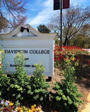 Image post by @davidsonvb on Instagram