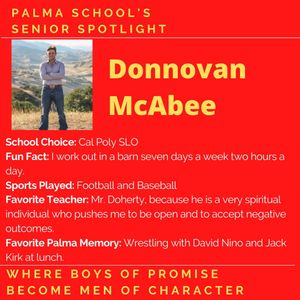 Image post by @palma_school on Instagram