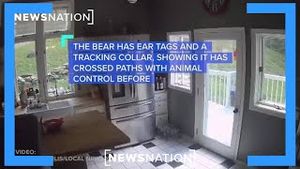 Video post by @newsnation on YouTube