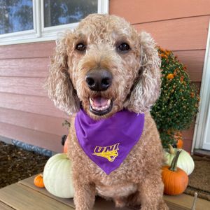 Image post by @northern_iowa on Instagram