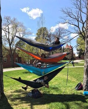 Image post by @nauflagstaff on Instagram