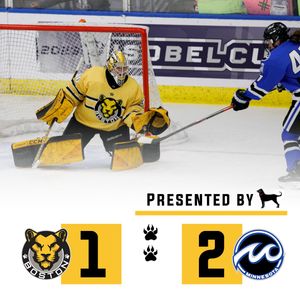 Image post by @TheBostonPride on Twitter