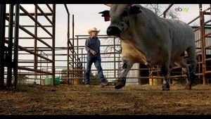 Video post by @pbr on YouTube