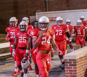 Image post by @isuredbirds on Instagram