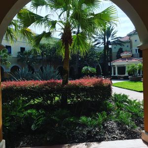 Image post by @rosencollege on Instagram