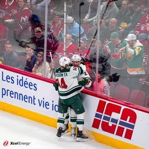Image post by @minnesotawild on Instagram