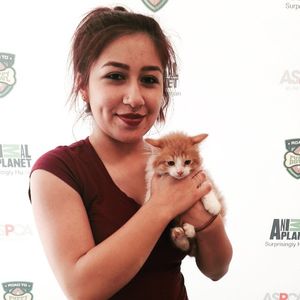 Image post by @animalplanet on Instagram