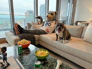 Image post by @WolvesCrunch on Twitter