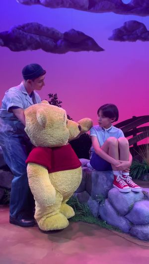 Video post by @winniethepoohshow on TikTok