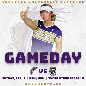 Image post by @valkyriessoftball on Instagram