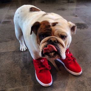 Image post by @robdyrdek on Instagram