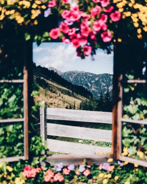 Image post by @vsco on Instagram